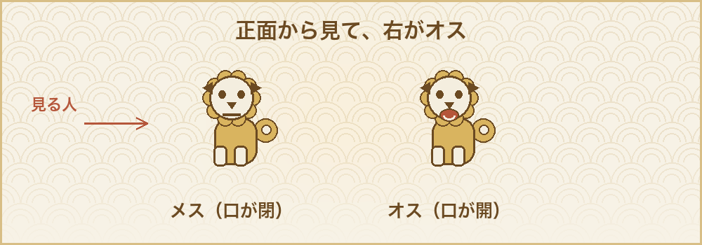 シーサーの左右とオスメスの見分け方